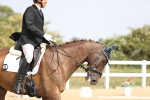 SBM_017375