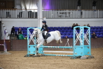 SBM_002385