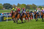 230426-Race 7-Sunny Orange-5514