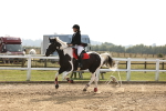 SBM_03839