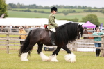 SBM_06220