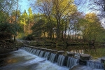 Stepping Stones
