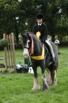 S14 - Riding Club Horse portfolio