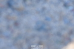 230520A-090712-01581