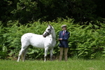 WJ7_2766