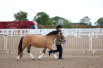 SBM_00273