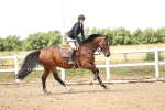 SBM_003543