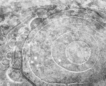 ICE ABSTRACT - LONG POINT BEACH