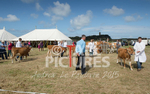 West Show_2014-16