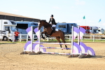 SBM_002910