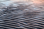 Sand Ripples
