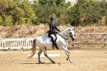 SBM_001536