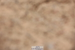 240621A-133058-01090