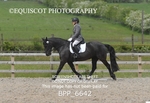 BPP_6642