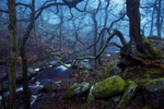Padley Gorge