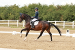SBM_002194
