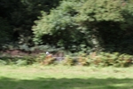 FOM_0662