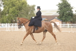 SBM_06328