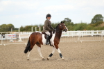 SBM_05569