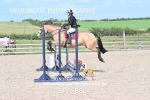 BPP_8804