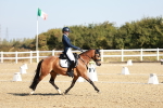 SBM_016954
