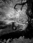 Swing
