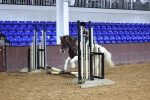 SBM_000182
