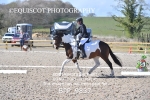 BPP_9837