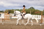 SBM_00325