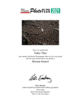 Better Photography Magazine 2021_Bronze Award_Revealing Nature