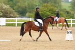 SBM_004783