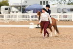 SBM_01055