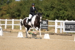 SBM_013661