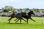 300526-Race 3-Mr Writer-0442