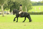 SBM_71928