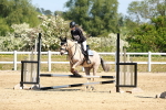 SBM_007382