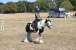 WJ6_9158