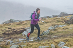 Carrock Fell-324