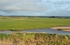 Wexford Wildfowl Nature Reserve, Co. Wexford, Ireland