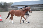 SBM_003903