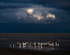SEPTEMBER GULLS - LONG POINT
