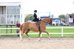 SBM_03392