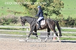 BPP_9116