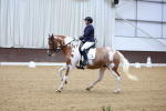 SBM_018919