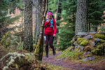 Glentress-2317