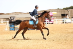 SBM_001604