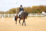 SBM_010299