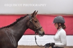 BPP_1497