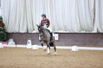 SBM_001498