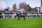 130326-Race 5-Gaelic Warrior-2686